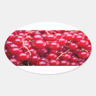 Red Currant Ovaler Aufkleber
