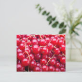 Red Currant Postkarte (Stehend Vorderseite)