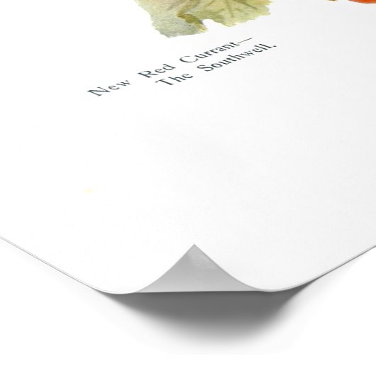 Red Currant 'The Southwell' Poster (Ecke)