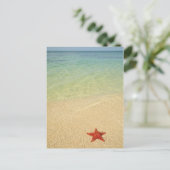 Red Cushion Sea Star | Trinidad, Kuba Postkarte (Stehend Vorderseite)