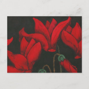 Red Cyclamen blühen auf dunkelschwarzem Hintergrun Postkarte