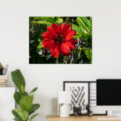 Red Dahlia (Bischof von Llandaff) II Poster (Heimbüro)