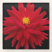 Red Dahlia Bloom auf schwarzer Flora Glasuntersetzer (Vorderseite)
