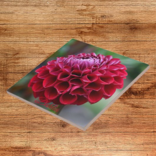 Red Dahlia Bloom Floral Keramik Tile Fliese