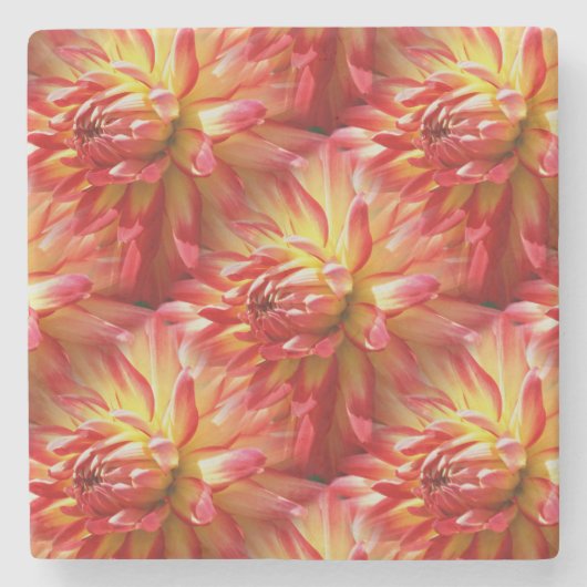 Red Dahlia Blume Art Pattern Steinuntersetzer (Vorderseite)