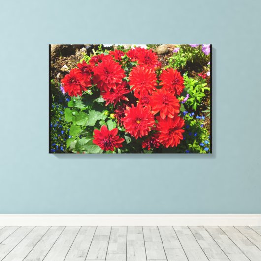 Red Dahlia Blume Leinwand (Insitu (Holzboden))