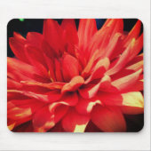 Red Dahlia Blume Mousepad (Vorne)