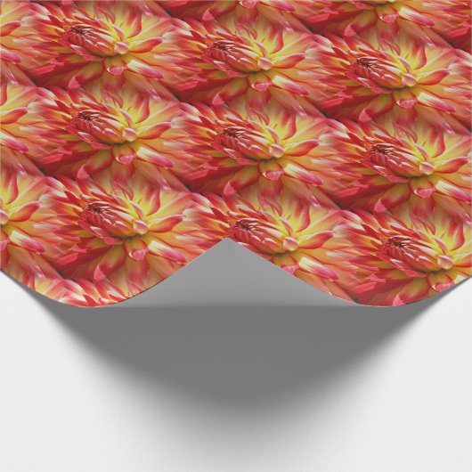 Red Dahlia Blume Muster Natur Geschenkpapier (Ecke)