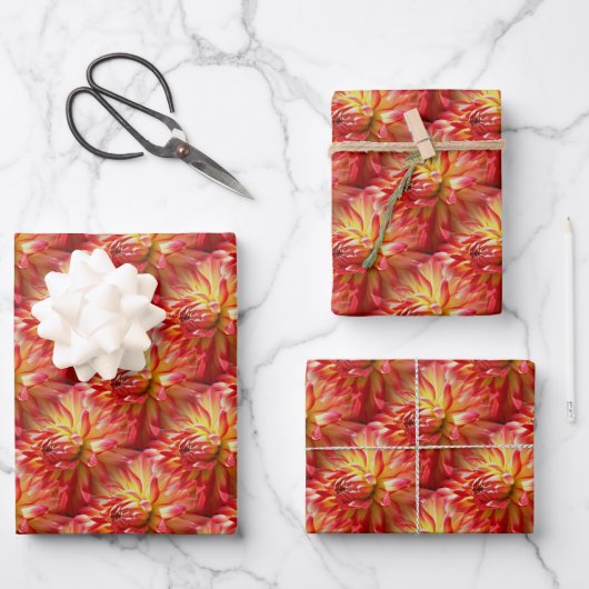 Red Dahlia Blume Muster Natur Geschenkpapier Set (Vorderseite)