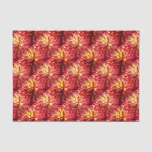 Red Dahlia Blume Nattern Muster Seidenpapier
