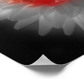 Red Dahlia Blume partielle Farbe Poster (Ecke)