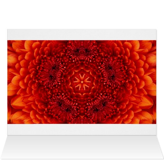 RED DAHLIA BLUME PETALS (Innenansicht Horizontal (Oben))