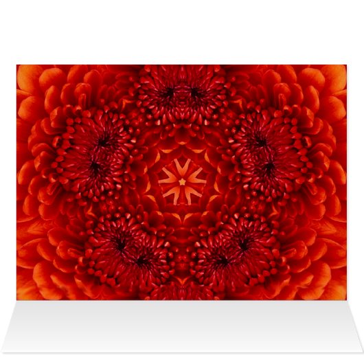 RED DAHLIA BLUME PETALS (Innenansicht Horizontal (Oben))