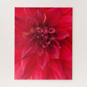 Red Dahlia Blume Puzzle (Vertikal)