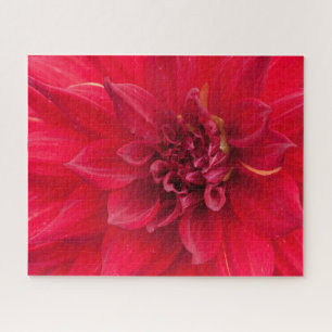 Red Dahlia Blume Puzzle
