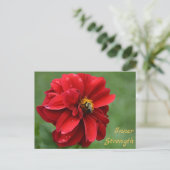 Red Dahlia Blume und Hummel Fotografisch Postkarte (Stehend Vorderseite)