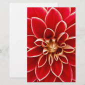 Red Dahlia Briefpapier (Vorne/Hinten)