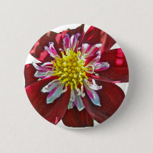 Red Dahlia Button