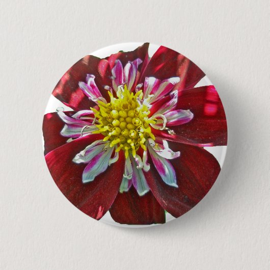 Red Dahlia Button (Vorderseite)