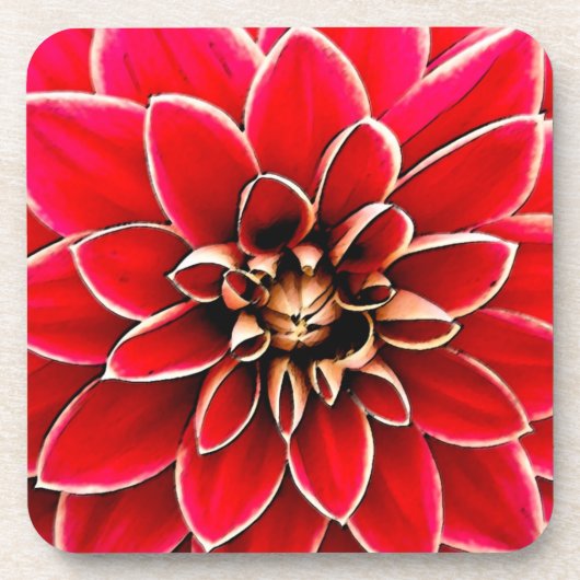 Red Dahlia, digitale Kunst Getränkeuntersetzer (Vorderseite)