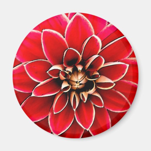 Red Dahlia, digitale Kunst Magnet (Vorne)