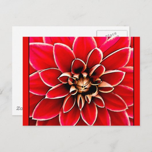 Red Dahlia, digitale Kunst Postkarte (Vorne/Hinten)
