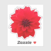 Red Dahlia Floral Aufkleber (Blatt)