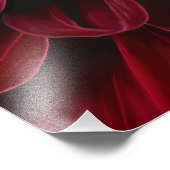 Red Dahlia Foto Print (Ecke)