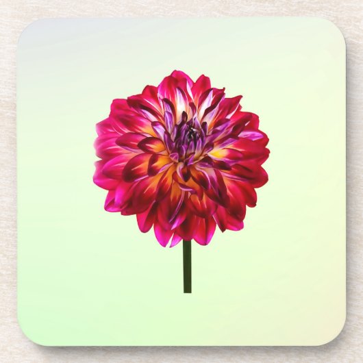 Red Dahlia, gelb gestrichen Getränkeuntersetzer (Vorderseite)