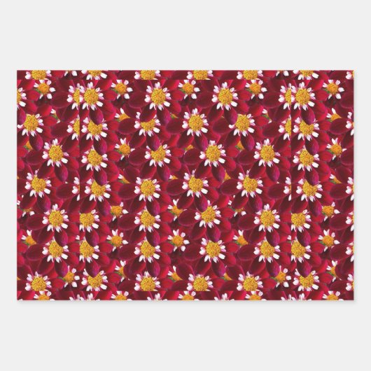 Red Dahlia Geschenkpapier Set (Vorderseite 3)