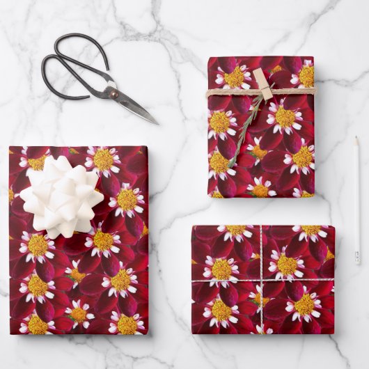 Red Dahlia Geschenkpapier Set (Vorderseite)