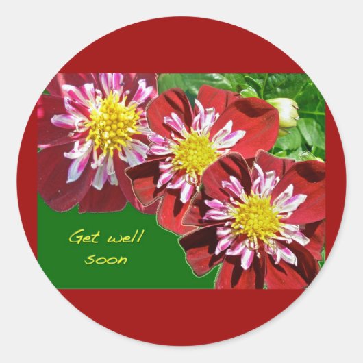 Red Dahlia Get Well bald Sticker (Vorderseite)