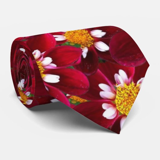 Red Dahlia Krawatte (Gerollt)