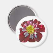 Red Dahlia Magnet (Vorderseite/Rückseite)