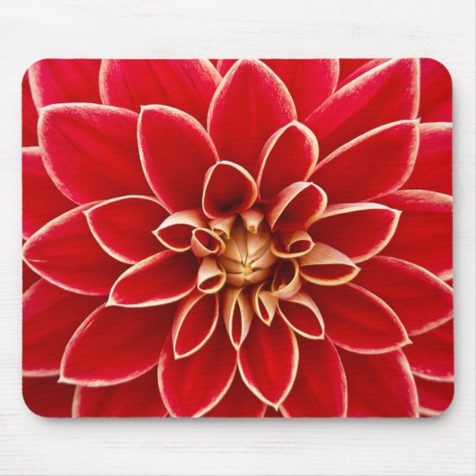 Red Dahlia Mousepad (Vorne)