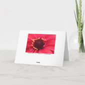 Red Dahlia Nah-up Karte (Rückseite)