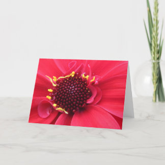 Red Dahlia Nah-up Karte