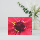 Red Dahlia Nah-up Postkarte (Stehend Vorderseite)