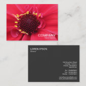 Red Dahlia Nah-up Visitenkarte (Vorne/Hinten)