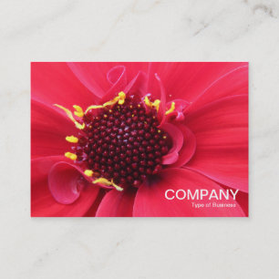 Red Dahlia Nah-up Visitenkarte