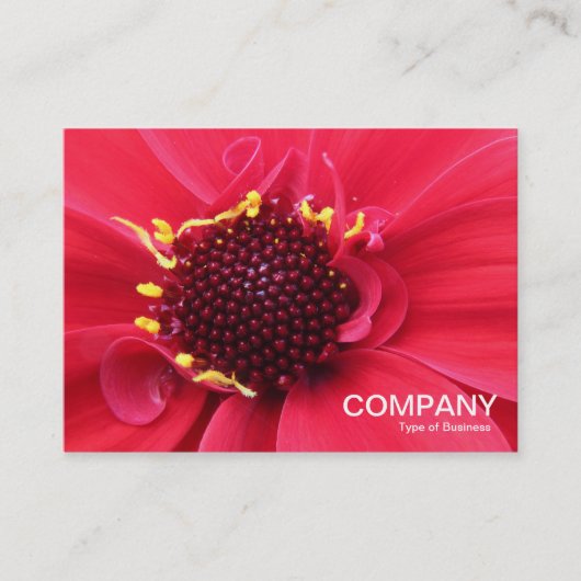 Red Dahlia Nah-up Visitenkarte (Vorderseite)