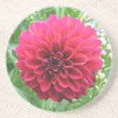 Red Dahlia Sandstone Untersetzer (Vorne)