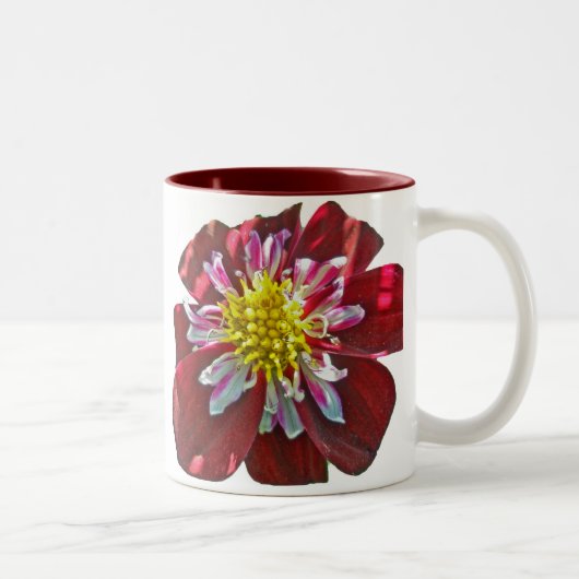 Red Dahlia Tasse (Rechts)