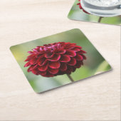 Red Dahlia Untersetzer (angewinkelt)