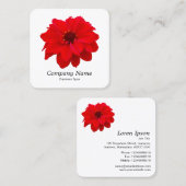 Red Dahlia - White Quadratische Visitenkarte (Vorne/Hinten)