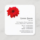 Red Dahlia - White Quadratische Visitenkarte (Rückseite)