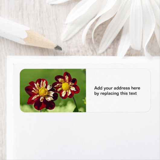 Red Dahlias Address Label (Insitu)