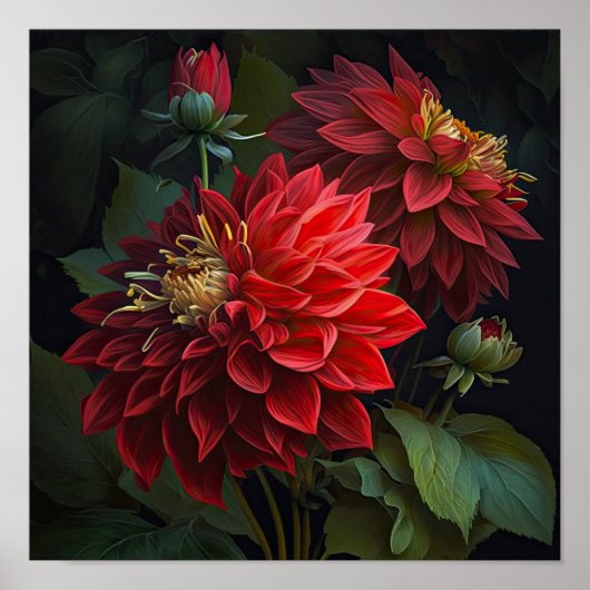 Red Dahlias Blume Art Print Poster (Vorne)