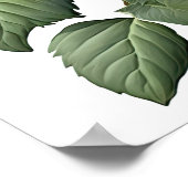 Red Dahlias Blume Art Print Poster (Ecke)