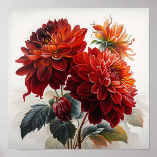 Red Dahlias Blume Art Print Poster